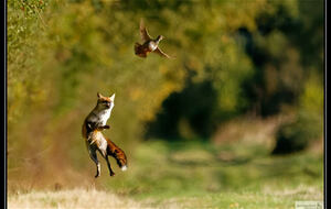 Rencontre Photographique : Jean-Philippe Gibault